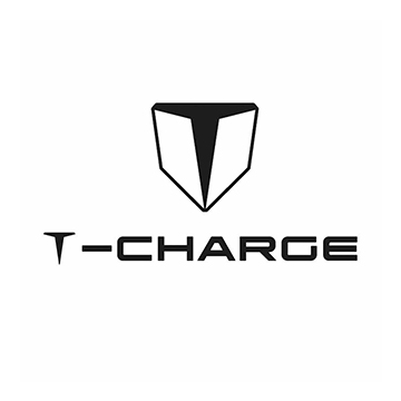 p-t-charge
